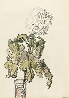 Chrysanthemum Prints: Flowering chrysanthemum, in a vase, 1872-1950. Creator: Barbara Elisabeth van Houten