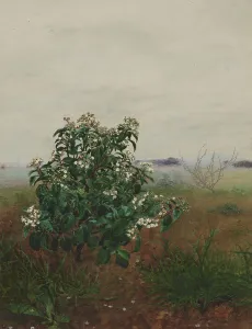 Soil Prints: Flowering Laurustinus in front of a Landscape, 1864. Creator: Leon Bonvin