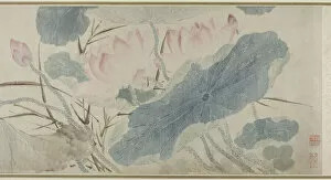 Ink And Colour On Paper Collection: Flowering Lotus, Ming dynasty (1368-1644), 1543. Creator: Chen Shun