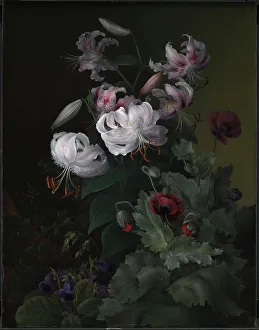 Poppies Prints: Flowering plants, 1845. Creator: Hermania Neergaard