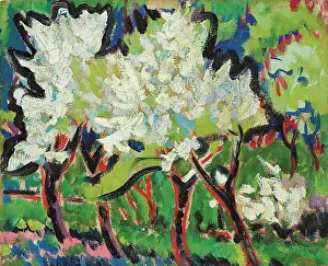 Kirchner Prints: Flowering Trees IV, 1909. Creator: Kirchner, Ernst Ludwig (1880-1938)