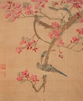 Qing Dynasty Collection: Flowers, Birds and Fish (Album of 13 leaves) (image 7 of 10), 1690. Creator: Ma Yuanyu