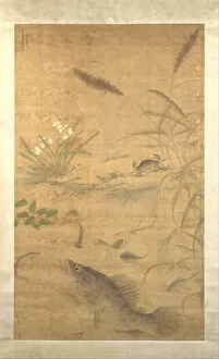 Tranquility Gallery: Flowers, fish, and crabs, mid-16th century. Creator: Liu Jie