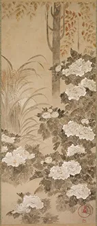 Flowers and Foliage of Autumn, mid 1700s. Creator: Tatebayashi Kagei (Japanese)