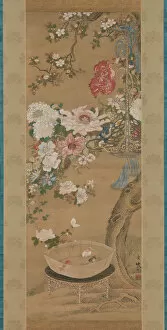 Gardens Collection: Flowers and Goldfish, 18th century. Creator: So Shizan