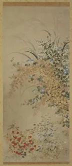 Flowers and grasses, Edo period, 1600-1630. Creator: Master of I-nen Seal Flowers and grasses, Edo period, 1600-1630. Creator: Master of I-nen Seal