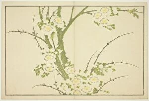 Flowers, from The Picture Book of Realistic Paintings of Hokusai (Hokusai shashin)