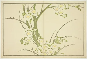 Hokusai Shashin Gafu Prints: Flowers, from The Picture Book of Realistic Paintings of Hokusai (Hokusai shashin)