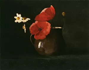Bellis Perennis Gallery: Flowers: Poppies and Daisies, c. 1867. Creator: Odilon Redon