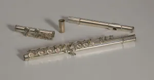Marching Band Prints: Flute used by Alton Augustus Adams Sr. ca. 1915. Creator: Cundy-Bettoney Company