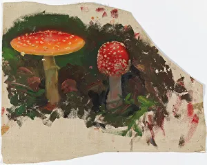 Torsten Gideon Wasastjerna Prints: Two Fly Agarics, sketch for the painting Fairy Tale Princess