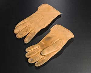 Glove Collection: Flying gloves, United States Air Force Thunderbirds, 2006-2007. Creator: Unknown