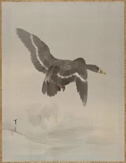Album Leaf Gallery: Flying Goose, ca. 1887. Creator: Watanabe Seitei