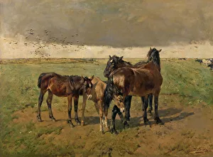 Foal Prints: Foals in the Paddock, mid-late 19th century. Creator: Alfred Verwee
