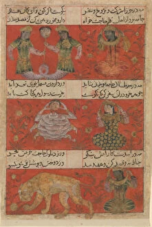Cancer Gallery: Folio from a Mu nis al-ahrar fi daqa iq al-ash ar (The Free Mans Companion... A.H