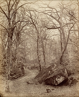 Fontainebleau, about 1870. Creator: Charles Victor Famin