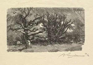 Fontainebleau Forest: Au dormoir de Lantara (La Foret de Fontainebleau: Au dormoir