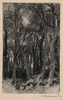 Desmoulins Prints: Fontainebleau Forest: Bas-Breau (La Foret de Fontainebleau: Le Bas-Breau), 1890
