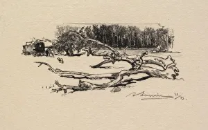 Fontainebleau Forest: Carrefour de lEpine (La Foret de Fontainebleau: Carrefour de lEpine)