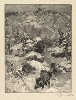 Desmoulins Prints: Fontainebleau Forest: Cuvier-Chatillon Cliff (La Foret de Fontainebleau