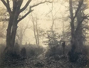 Cuvelier Gallery: [Fontainebleau Forest], early 1860s. Creator: Eugene Cuvelier