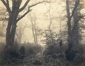 Cuvelier Eugene Prints: [Fontainebleau Forest], early 1860s. Creator: Eugene Cuvelier