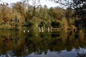 Autumnal Gallery: Fonthill Estate lake, Wiltshire, 2005