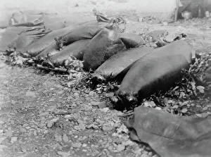Sealskin Prints: Food containers, Pokes-Kotzebue, c1929. Creator: Edward Sheriff Curtis