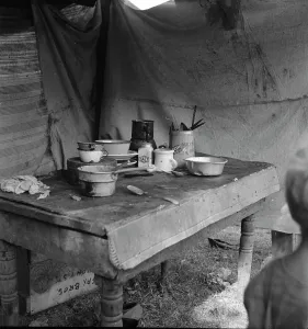 Hooverville Prints: Food supply of migrant family, American River camp near Sacramento