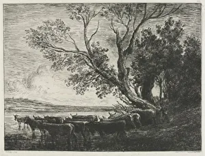 The Ford, 1865. Creator: Charles Francois Daubigny (French, 1817-1878);CADART & LUQUET