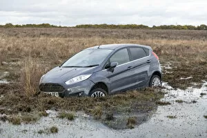 Moorland Collection: Ford Fiesta accident in New Forest, 2020. Creator: Tim Woodcock
