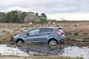 Ford Fiesta accident in New Forest, 2020. Creator: Tim Woodcock