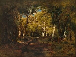 Narcisse De La Pena Collection: In the Forest, 1874. Creator: Narcisse Virgile Diaz de la Pena