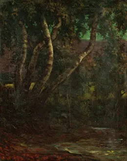 Milan Thomka Mitrovsk Prints: Forest, 1900-1920. Creator: Milan Thomka Mitrovsky