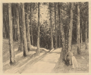 Clearing Prints: Forest, 1901-1937. Creator: Ludovit Cordak