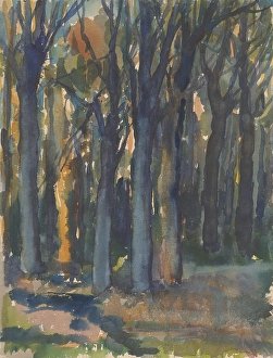 Vienna Secession Prints: Forest, around 1935. Creator: Zolo Palugyay