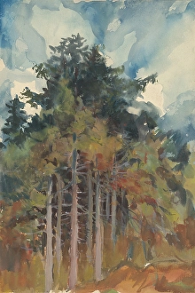 1928 Prints: In the Forest in Autumn, 1928-1933. Creator: Zolo Palugyay