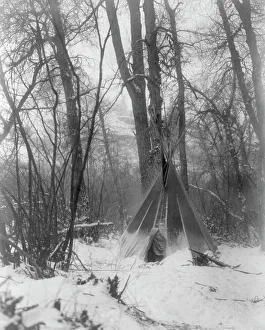 North Dakota Usa Prints: In the forest, c1908. Creator: Edward Sheriff Curtis