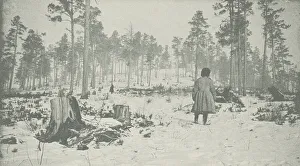 Forest on the Circum-Baikal Road, 1906. Creator: Unknown