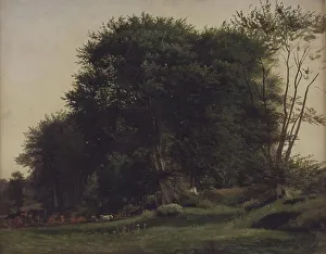 Forest clearing with cattle, 1855-1913. Creator: Wilhelm Xylander