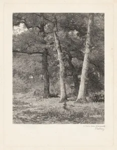 Bodmer Karl Prints: A Forest Clearing. Creator: Karl Bodmer