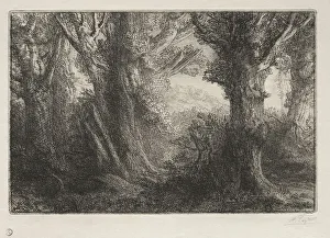 In the Forest at Conteville. Creator: Alphonse Legros (French, 1837-1911)