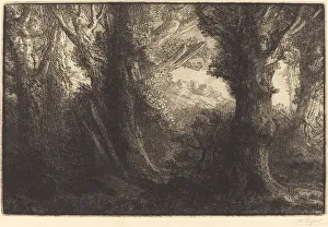 In the Forest of Conteville (Dans la foret de Conteville). Creator: Alphonse Legros In the Forest of Conteville (Dans la foret de Conteville). Creator: Alphonse Legros