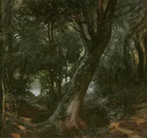 Shady Prints: In the Forest. Creator: Egron Sellif Lundgren