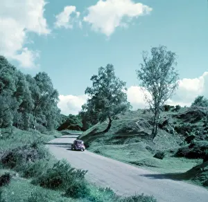 Wolseley Prints: Forest of Dean, c1955. Creator: Arthur Charles Kirby Ware