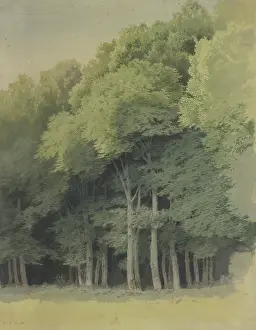 Edge Prints: Forest edge near Braunfels, 1855. Creator: Carl Theodor Reiffenstein