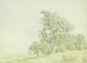 Aged Prints: Forest edge at the slope, c1850-1900. Creator: Peter Becker