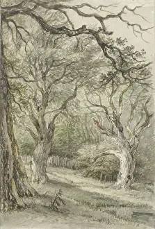 Weathered Prints: Forest face, 1776-1822. Creator: Jan Hulswit