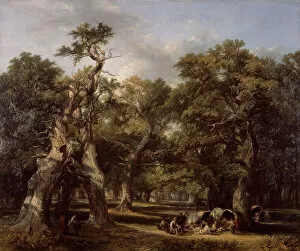 Campfire Gallery: A Forest Glade, Arden, Warwickshire, 1845. Creator: Frederick Henry Henshaw