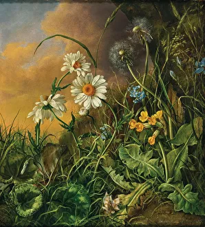 Private Collectionrealism Prints: Forest ground with daisies, primroses and dandelions